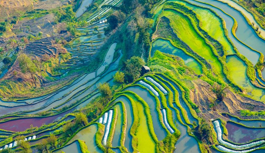 走进卧龙区TVC拍摄：解锁本地化场景与创意镜头的完美融合